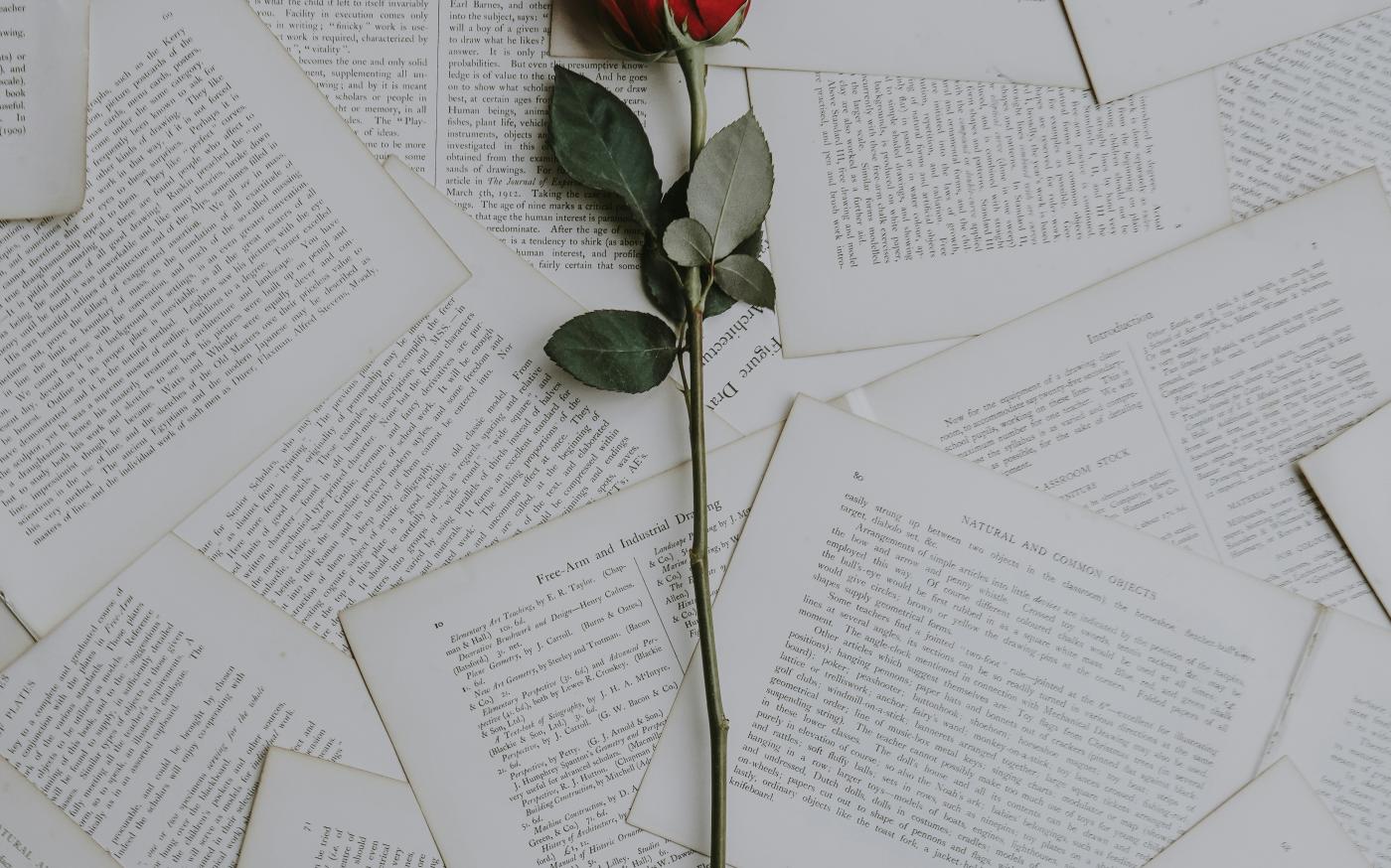 red rose on book sheets by Annie Spratt courtesy of Unsplash.